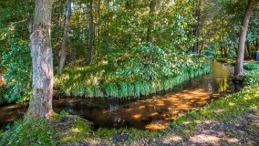 jezioro Wierzbowskie - zdjęcie 10