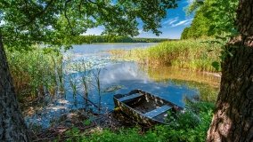 jezioro Wierzbowskie - zdjęcie 9