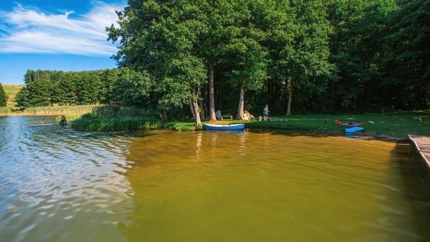 Wierzbowskie - zdjęcie 5