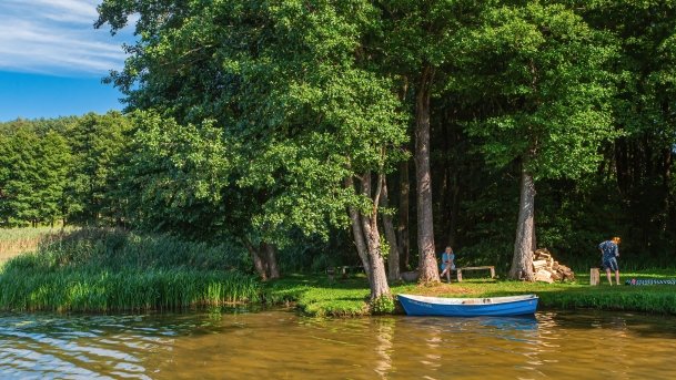 Wierzbowskie - zdjęcie 4