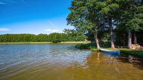 jezioro Wierzbowskie - zdjęcie 2