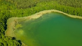 jezioro Dgał Wielki - zdjęcie 18