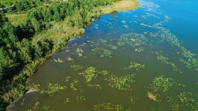 jezioro Pniewskie - zdjęcie 27