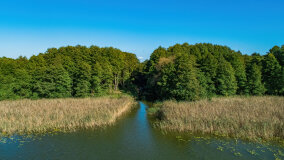 jezioro Pniewskie - zdjęcie 23