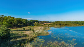 jezioro Pniewskie - zdjęcie 22