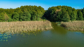 jezioro Pniewskie - zdjęcie 21