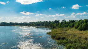 jezioro Pniewskie - zdjęcie 20