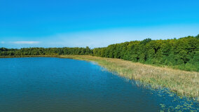 jezioro Pniewskie - zdjęcie 19