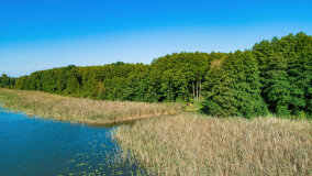 jezioro Pniewskie - zdjęcie 17