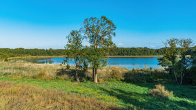 jezioro Pniewskie - zdjęcie 15