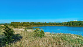 jezioro Pniewskie - zdjęcie 14