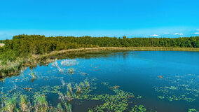 jezioro Pniewskie - zdjęcie 13