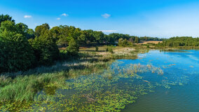 jezioro Pniewskie - zdjęcie 12