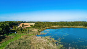 jezioro Pniewskie - zdjęcie 11