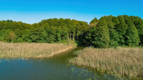 jezioro Pniewskie - zdjęcie 10
