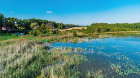 jezioro Pniewskie - zdjęcie 8