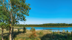 jezioro Pniewskie - zdjęcie 7