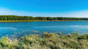 jezioro Pniewskie - zdjęcie 6
