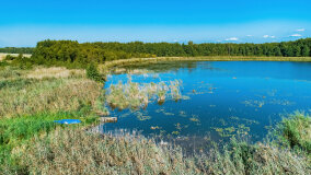 jezioro Pniewskie - zdjęcie 5