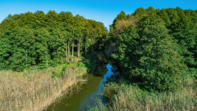 jezioro Pniewskie - zdjęcie 4