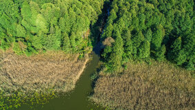 jezioro Pniewskie - zdjęcie 3