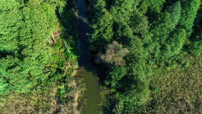 jezioro Pniewskie - zdjęcie 2