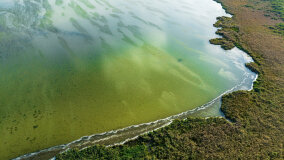 jezioro Łuknajo - zdjęcie 3