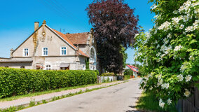 Wejsuny - zdjęcie 32