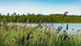 jezioro Wejsunek - zdjęcie 40