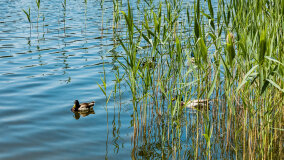 jezioro Wejsunek - zdjęcie 38