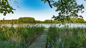 jezioro Wejsunek - zdjęcie 37