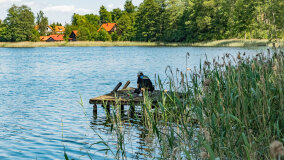 jezioro Wejsunek - zdjęcie 35