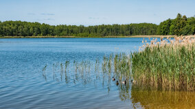 jezioro Wejsunek - zdjęcie 34