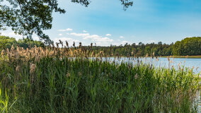 jezioro Wejsunek - zdjęcie 32