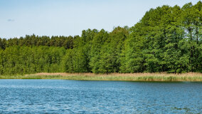 jezioro Wejsunek - zdjęcie 27