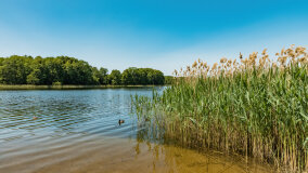 jezioro Wejsunek - zdjęcie 25