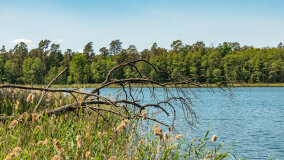 jezioro Wejsunek - zdjęcie 24