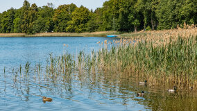 jezioro Wejsunek - zdjęcie 18
