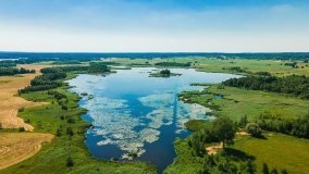 Jezioro Wylewy - zdjęcie 17