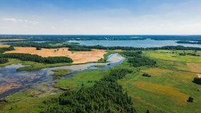 Jezioro Wylewy - zdjęcie 15