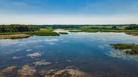 Jezioro Wylewy - zdjęcie 14