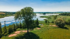 Jezioro Wylewy - zdjęcie 13