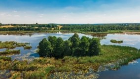 Jezioro Wylewy - zdjęcie 7