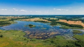 Jezioro Wylewy - zdjęcie 6