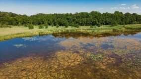 Jezioro Wylewy - zdjęcie 5