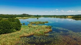 Jezioro Wylewy - zdjęcie 4