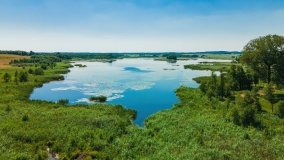 Jezioro Wylewy - zdjęcie 3