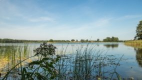 Jezioro Druglin Duży - zdjęcie 18