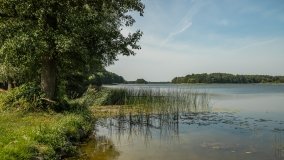 Jezioro Druglin Duży - zdjęcie 10