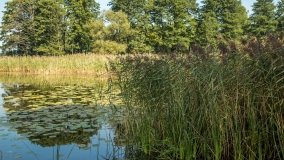 Jezioro Druglin Duży - zdjęcie 3